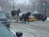 carriage-in-snow-on-cps.jpg