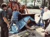 dead-carriage-horse.jpg