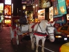 dsc00239.jpg